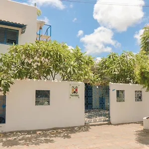 Auberge de jeunesse Republika, Natal